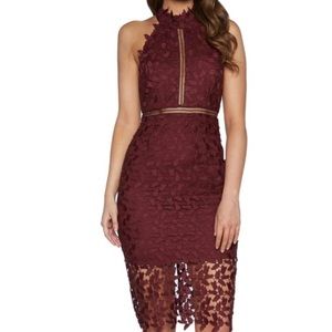 Bardot Gemma halter lace sheath dress burgundy